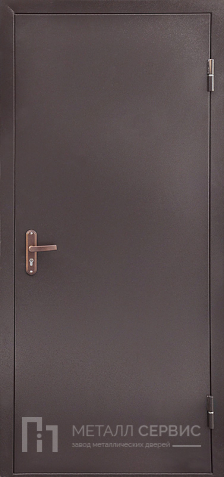 Техническая дверь с порошковым напылением №1